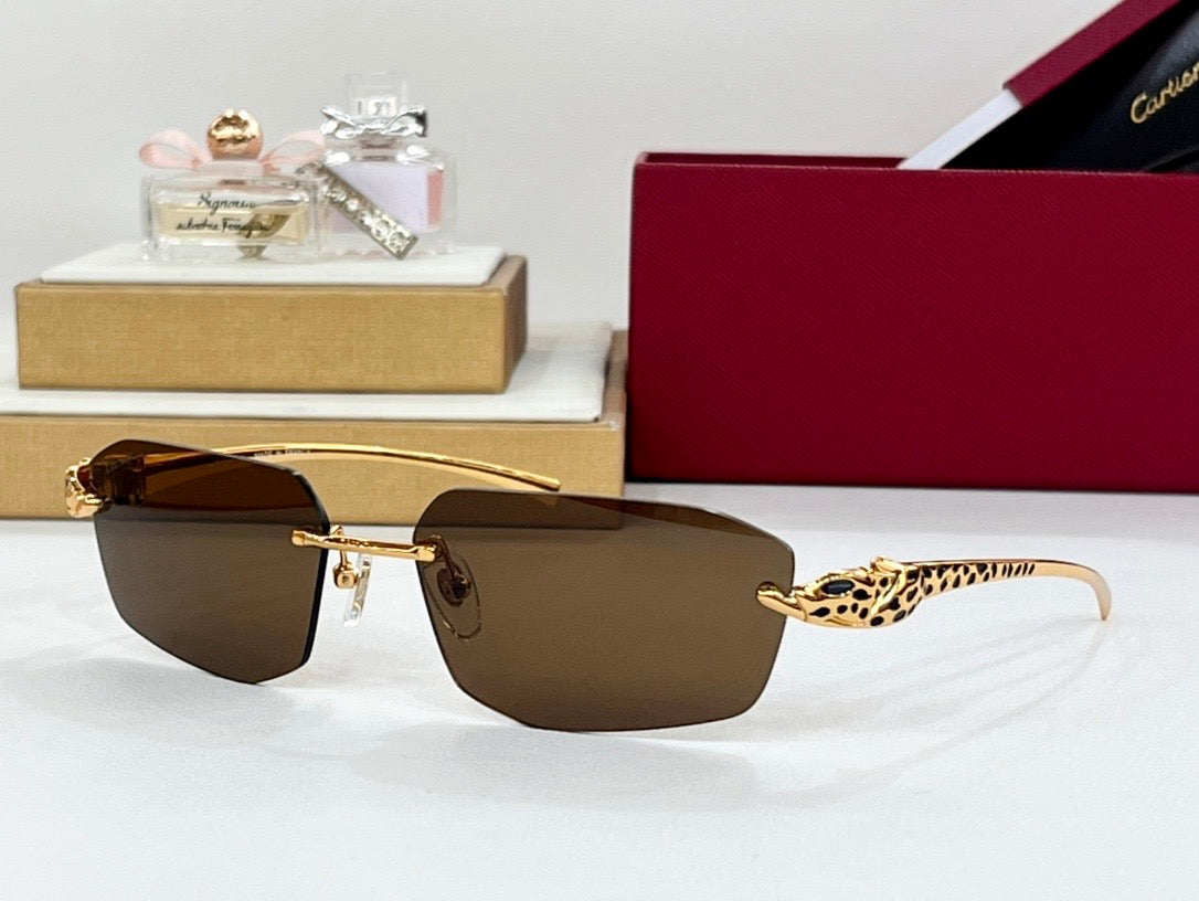 CARTIER CT0474S Sunglasses Unisex  $1595  ✨ - buyonlinebehappy