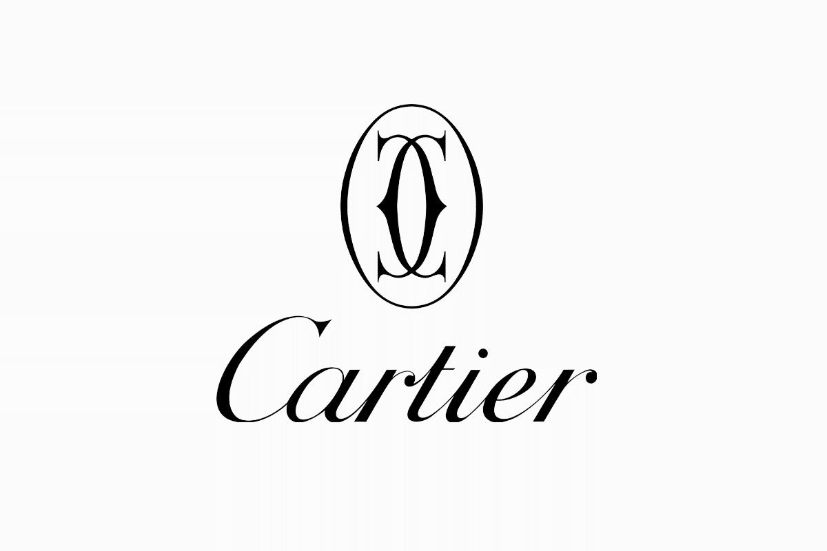 PANTHÈRE DE CARTIER CT 0120 Photochromic Sunglasses 👑 - buyonlinebehappy