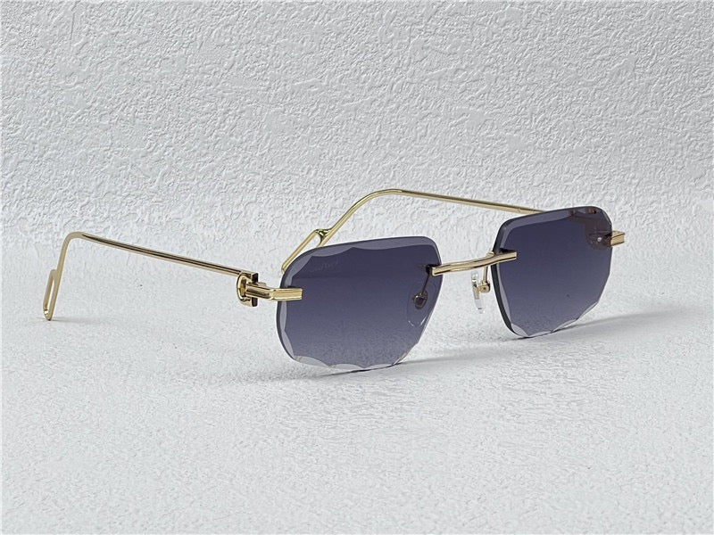 PANTHÈRE DE CARTIER CT CT0162O Photochromic Sunglasses 👑 - buyonlinebehappy