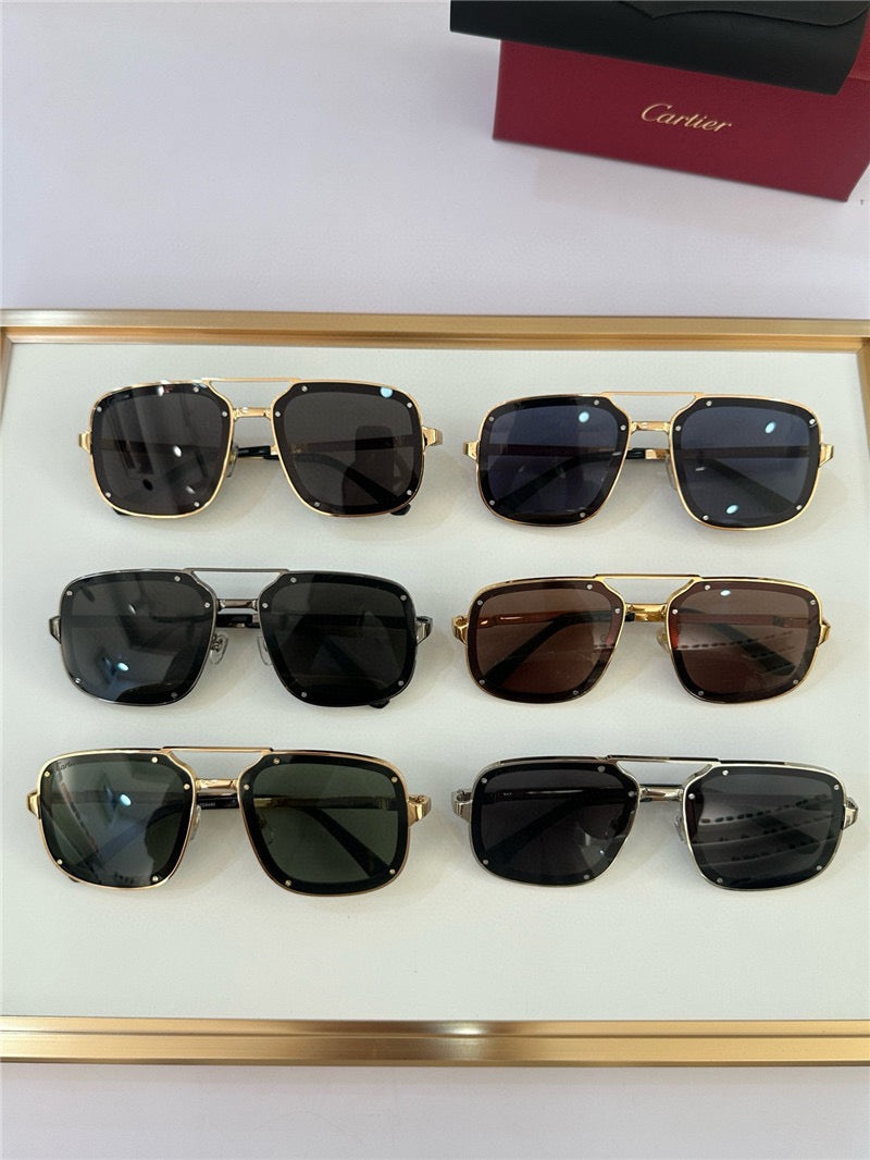 Cartier PREMIÈRE DE CARTIER CT0194S Sunglasses 🐆