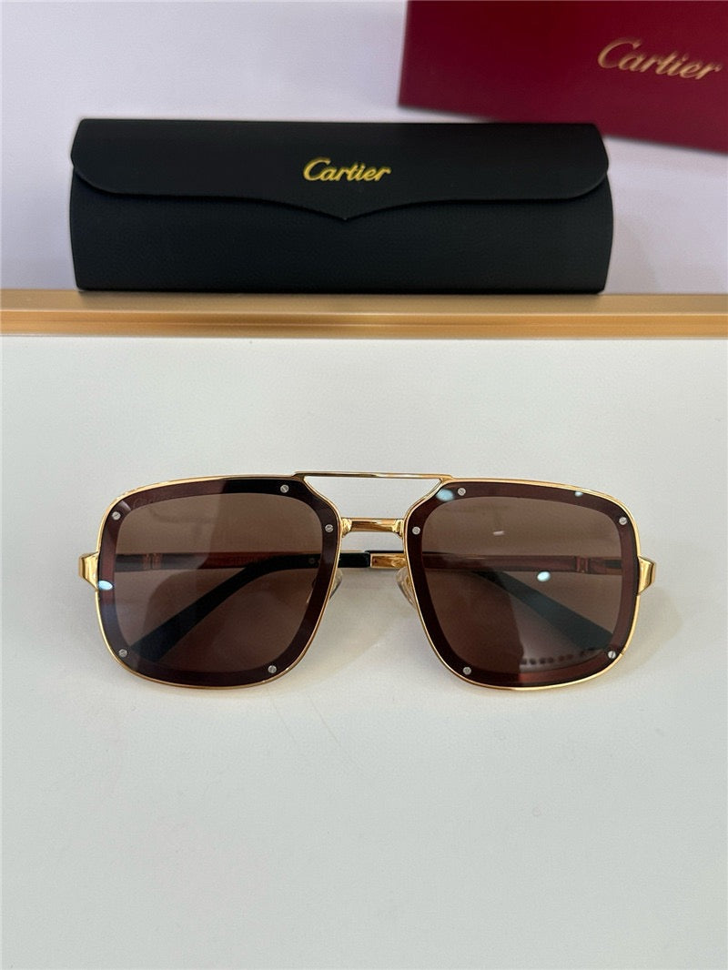 Cartier PREMIÈRE DE CARTIER CT0194S Sunglasses 🐆