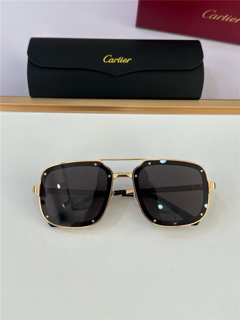 Cartier PREMIÈRE DE CARTIER CT0194S Sunglasses 🐆