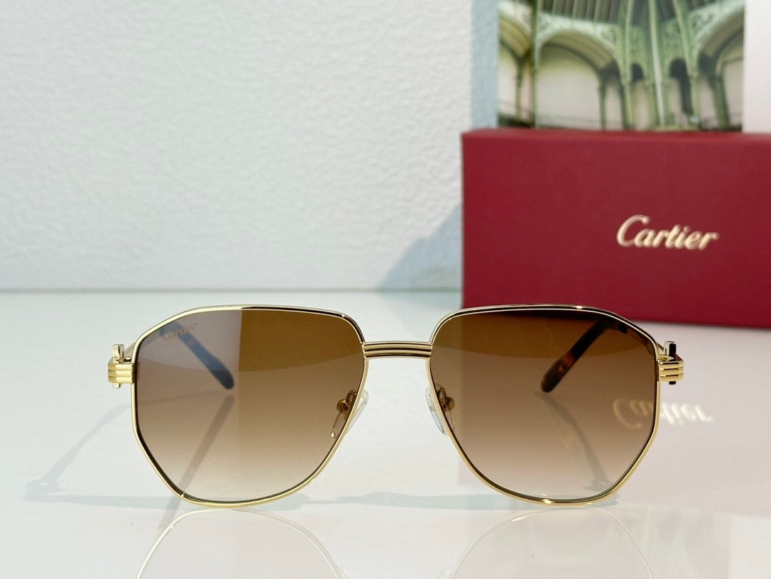 Cartier PREMIÈRE DE CARTIER CT0484O Sunglasses 🐆