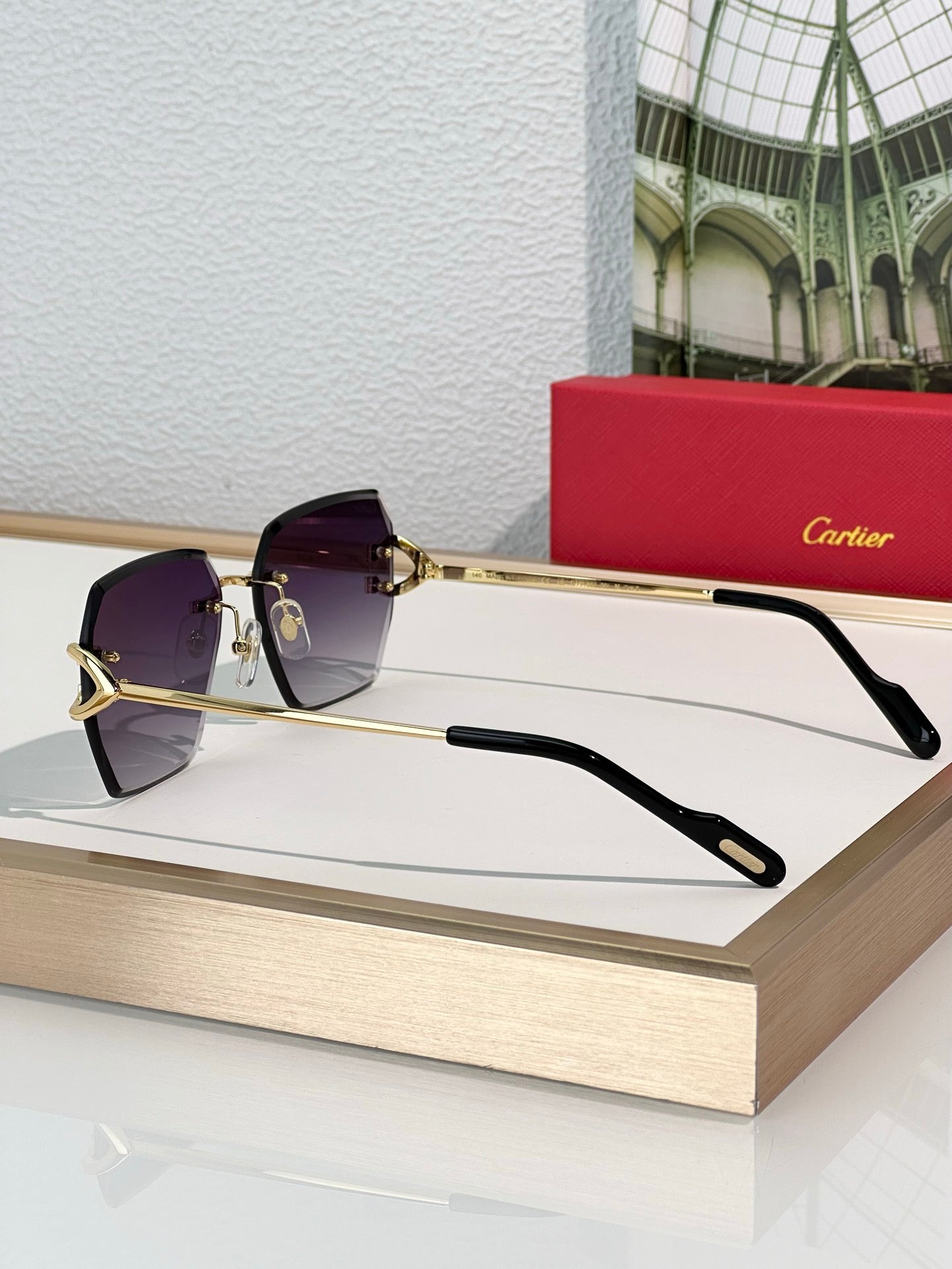 Cartier PREMIÈRE DE CARTIER CT0466S Sunglasses 🐆