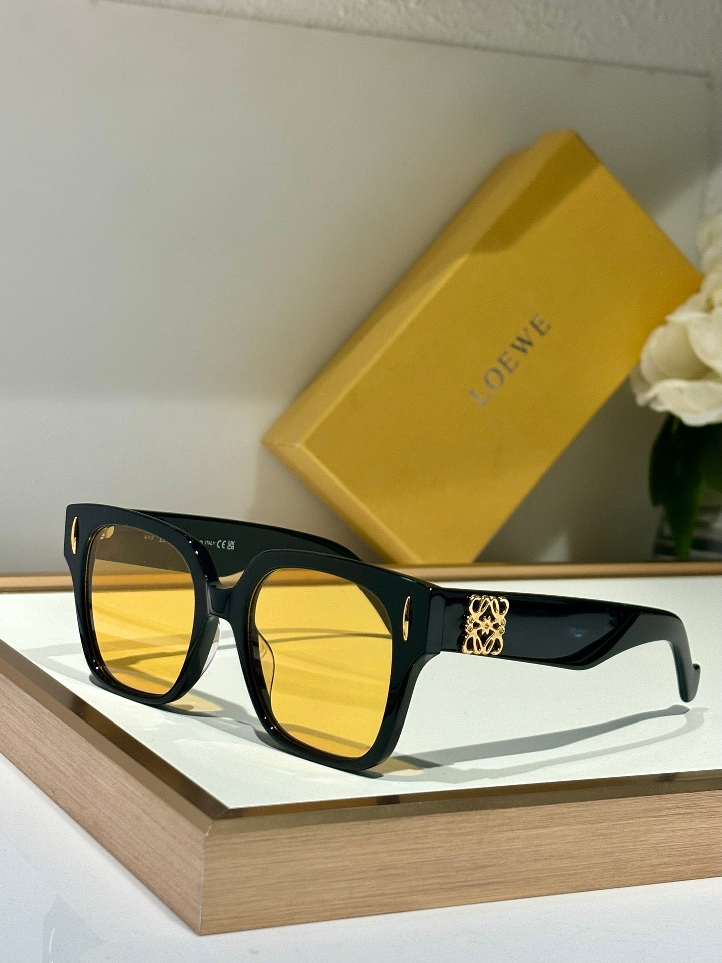 LOEWE ANAGRAM LW50069I Sunglasses  ✨