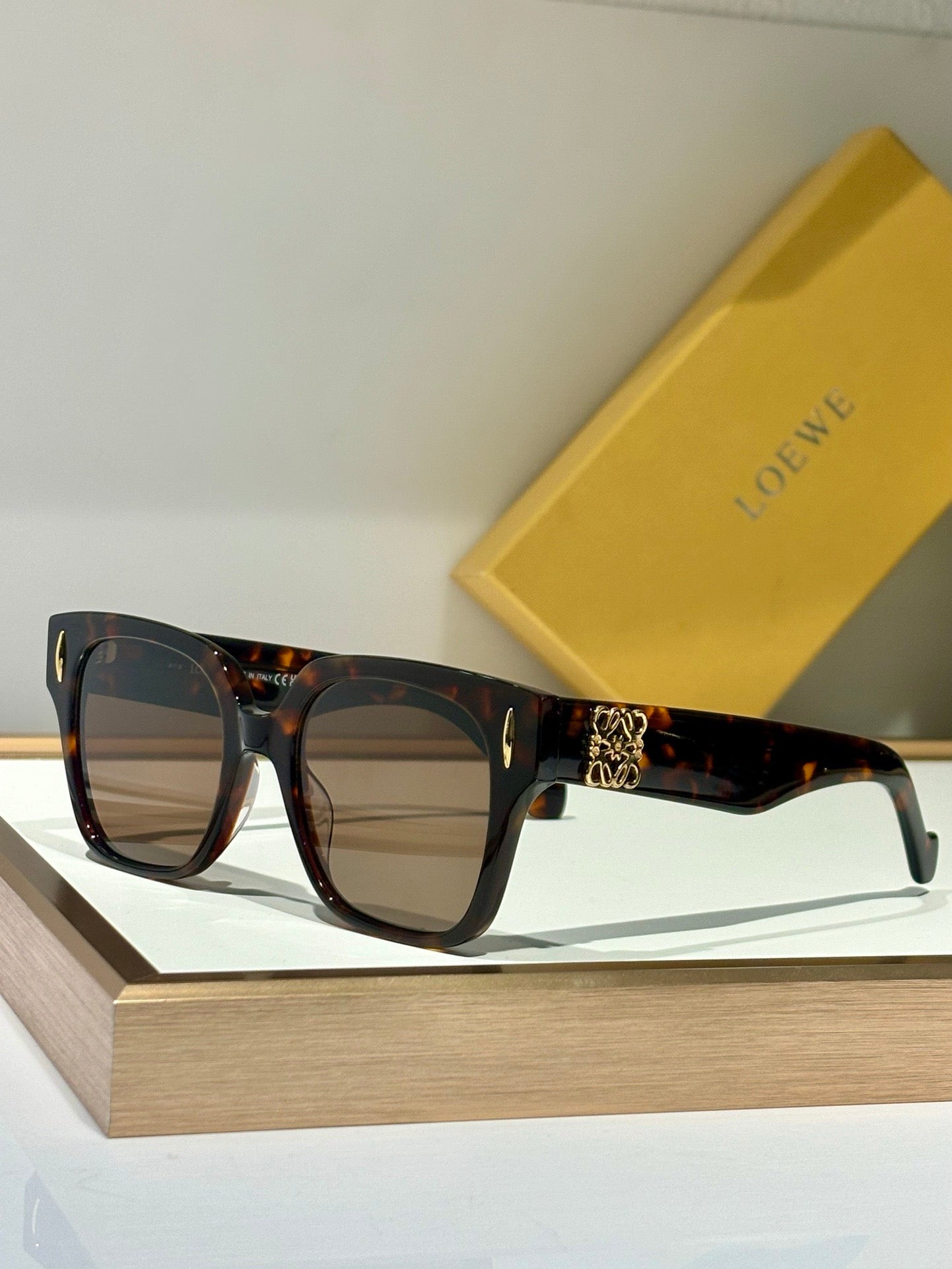 LOEWE ANAGRAM LW50069I Sunglasses  ✨