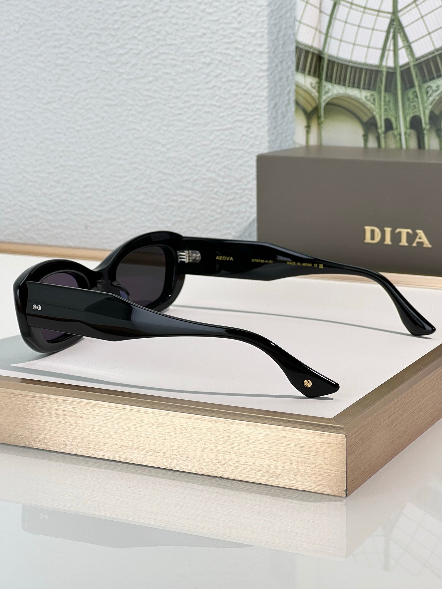 DITA Eyewear AEOVA LIMITED EDITION Sunglasses 🔱