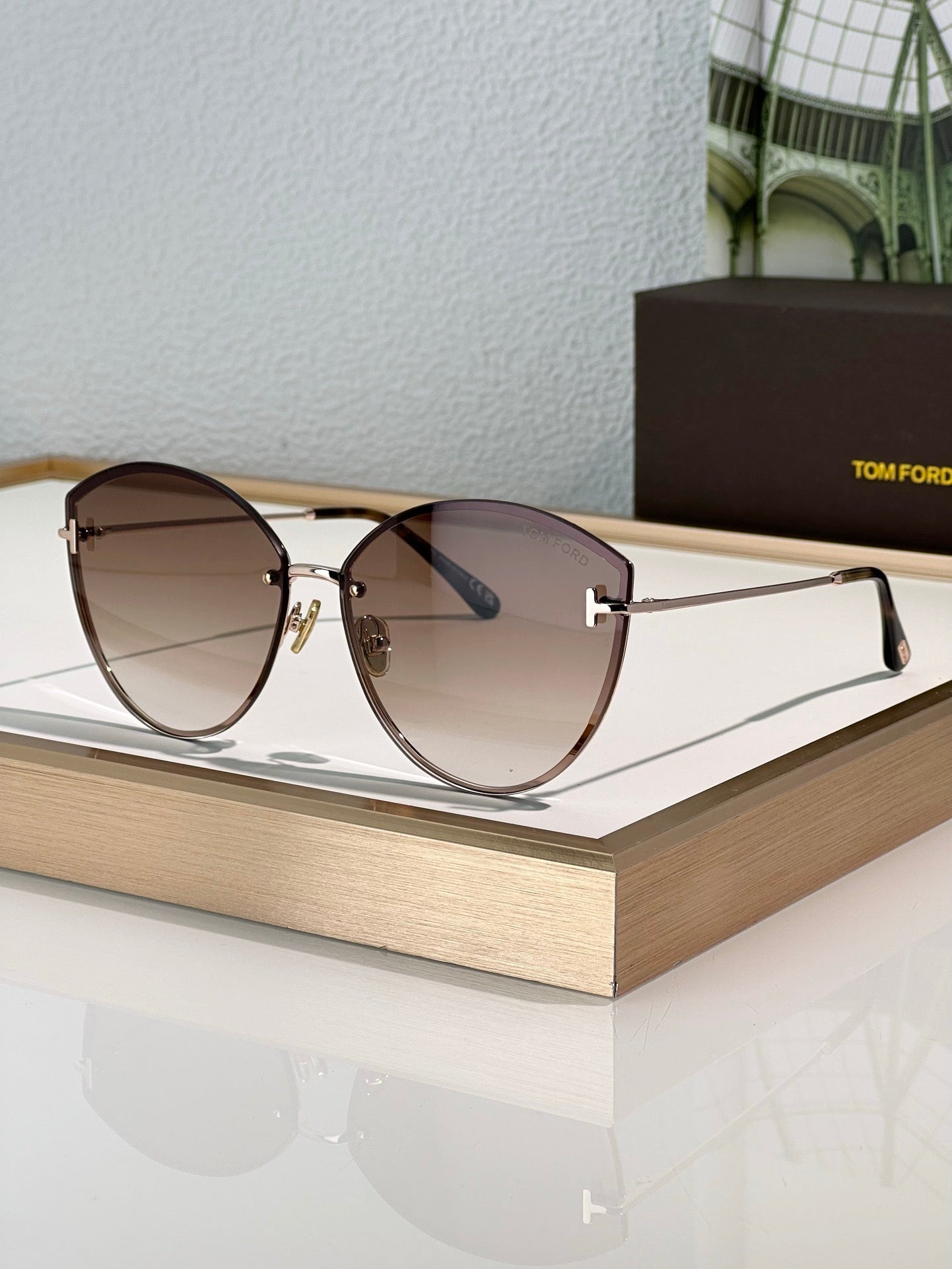 TOM FORD Evangeline TF1106 Sunglasses ✨