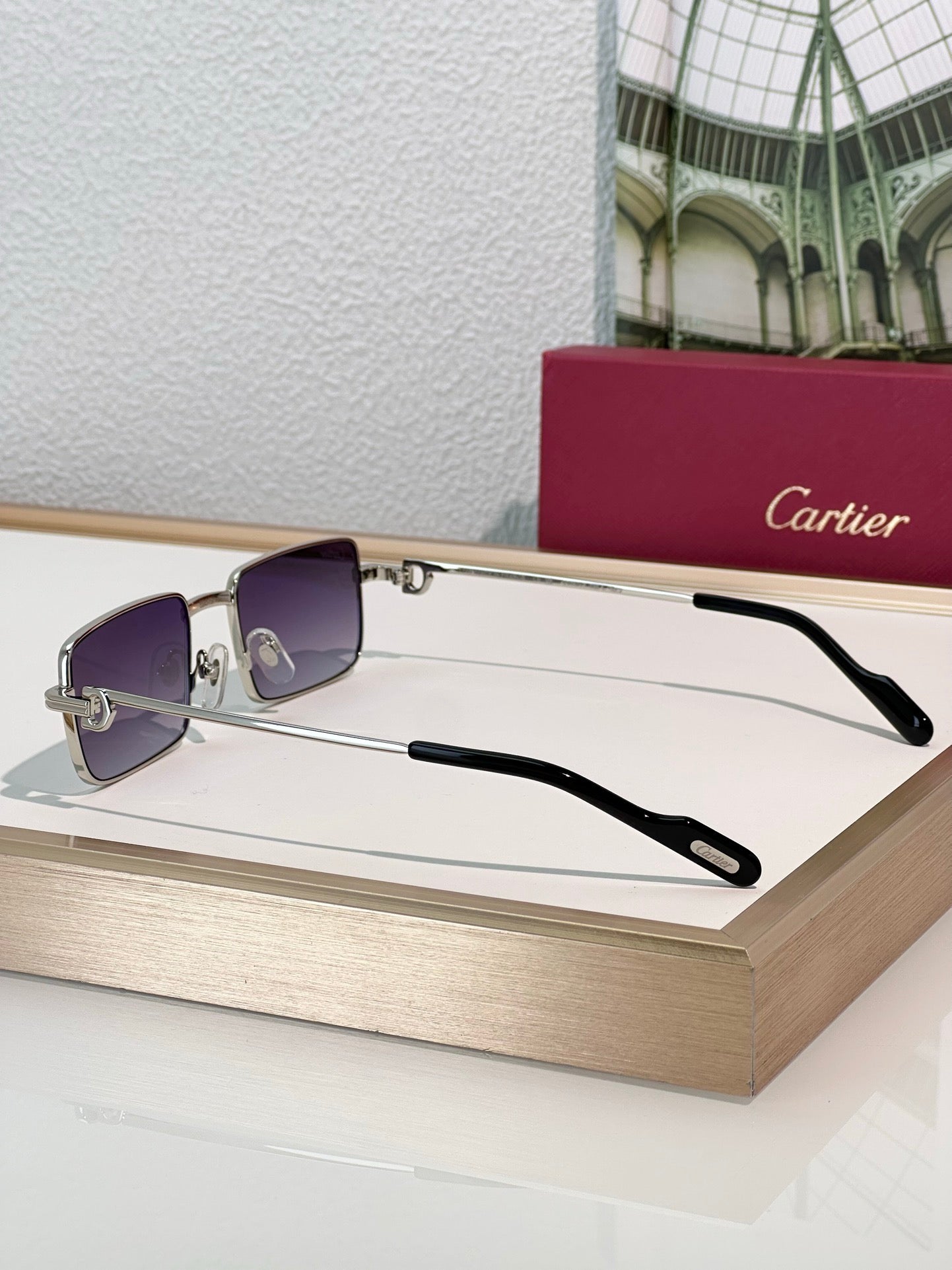 Cartier PREMIÈRE DE CARTIER CT501S Sunglasses 🐆