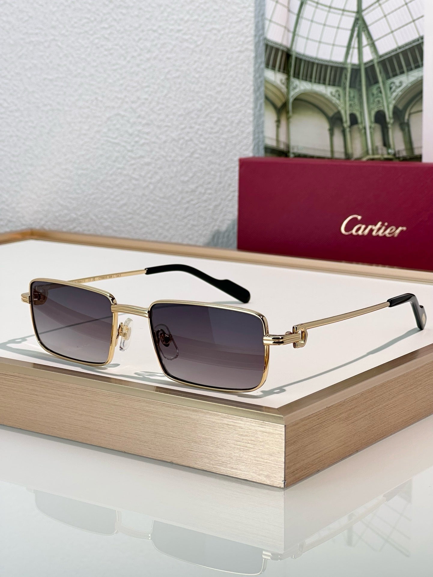 Cartier PREMIÈRE DE CARTIER CT501S Sunglasses 🐆