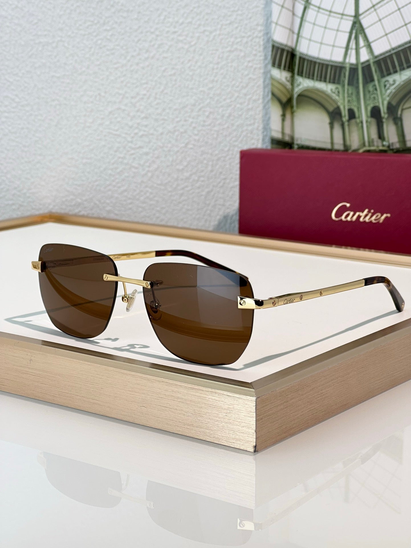 Cartier PREMIÈRE DE CARTIER Panthere CT0336O Sunglasses 🐆