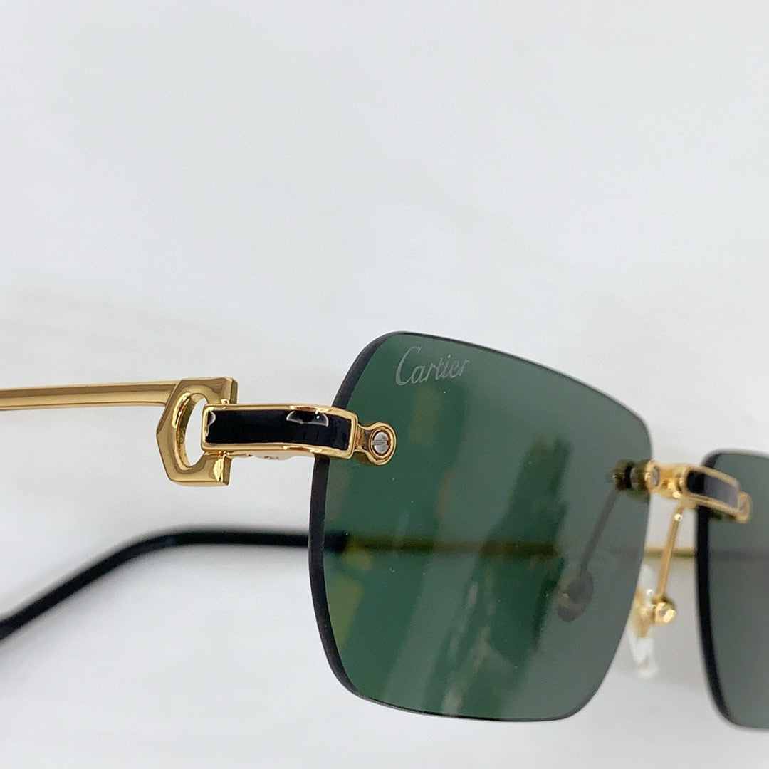 Cartier PREMIÈRE DE CARTIER CT0498S Sunglasses 🐆