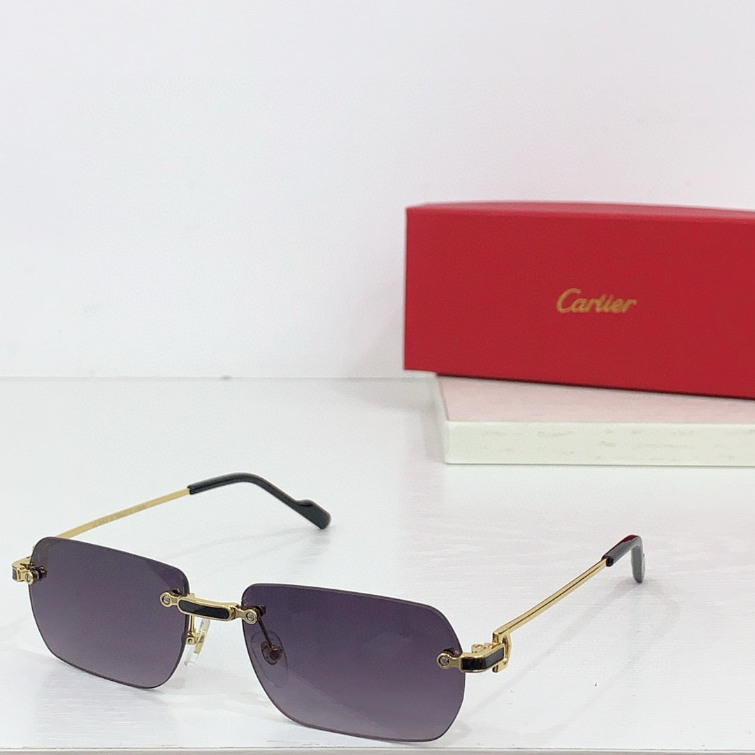 Cartier PREMIÈRE DE CARTIER CT0498S Sunglasses 🐆