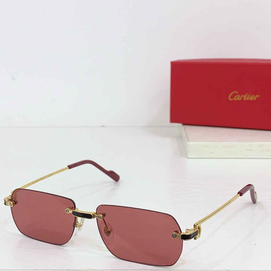 Cartier PREMIÈRE DE CARTIER CT0498S Sunglasses 🐆