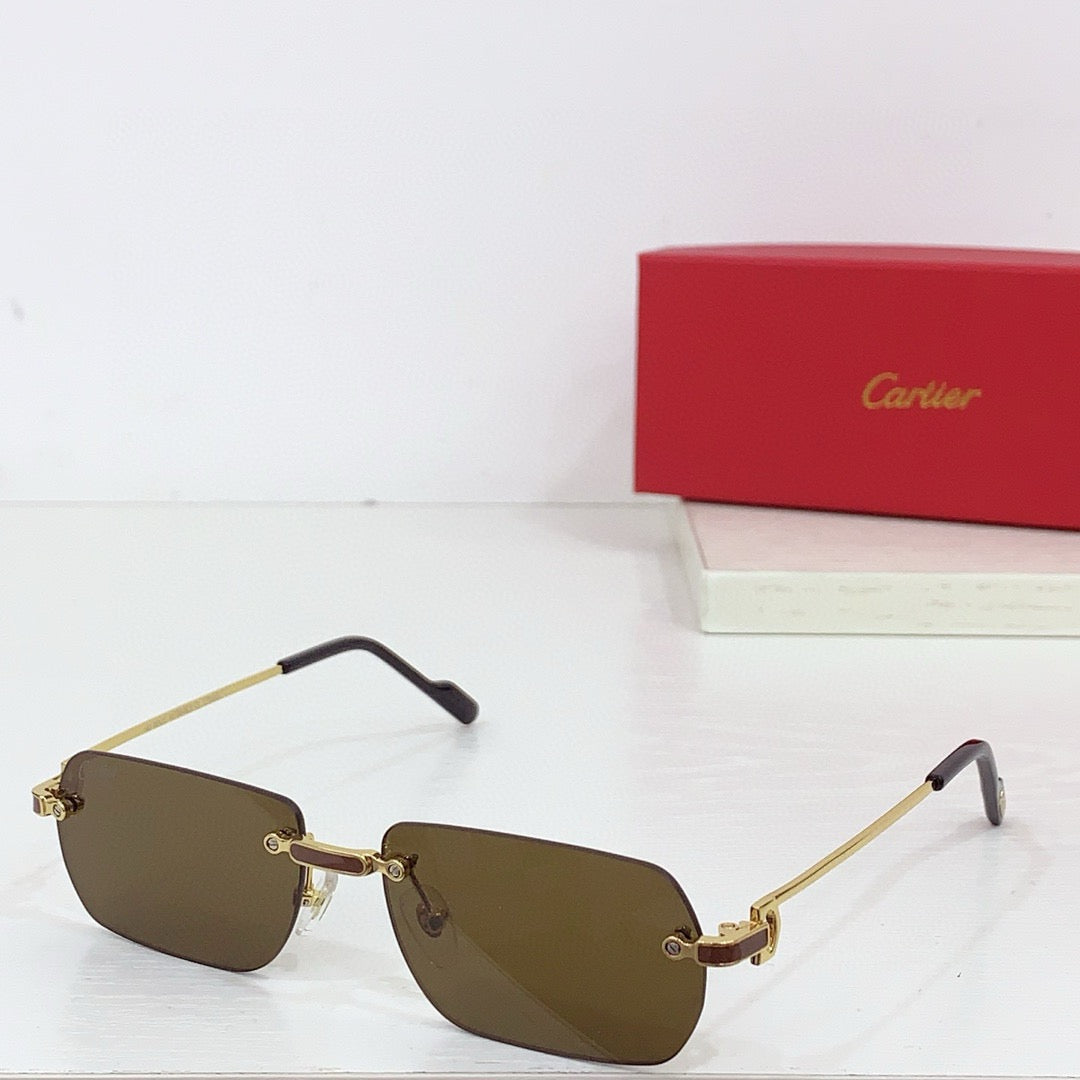 Cartier PREMIÈRE DE CARTIER CT0498S Sunglasses 🐆