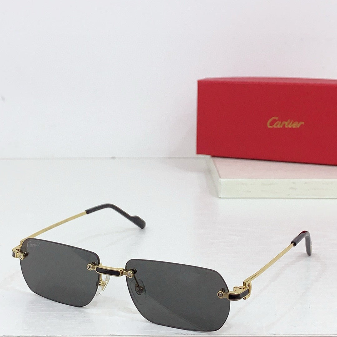 Cartier PREMIÈRE DE CARTIER CT0498S Sunglasses 🐆