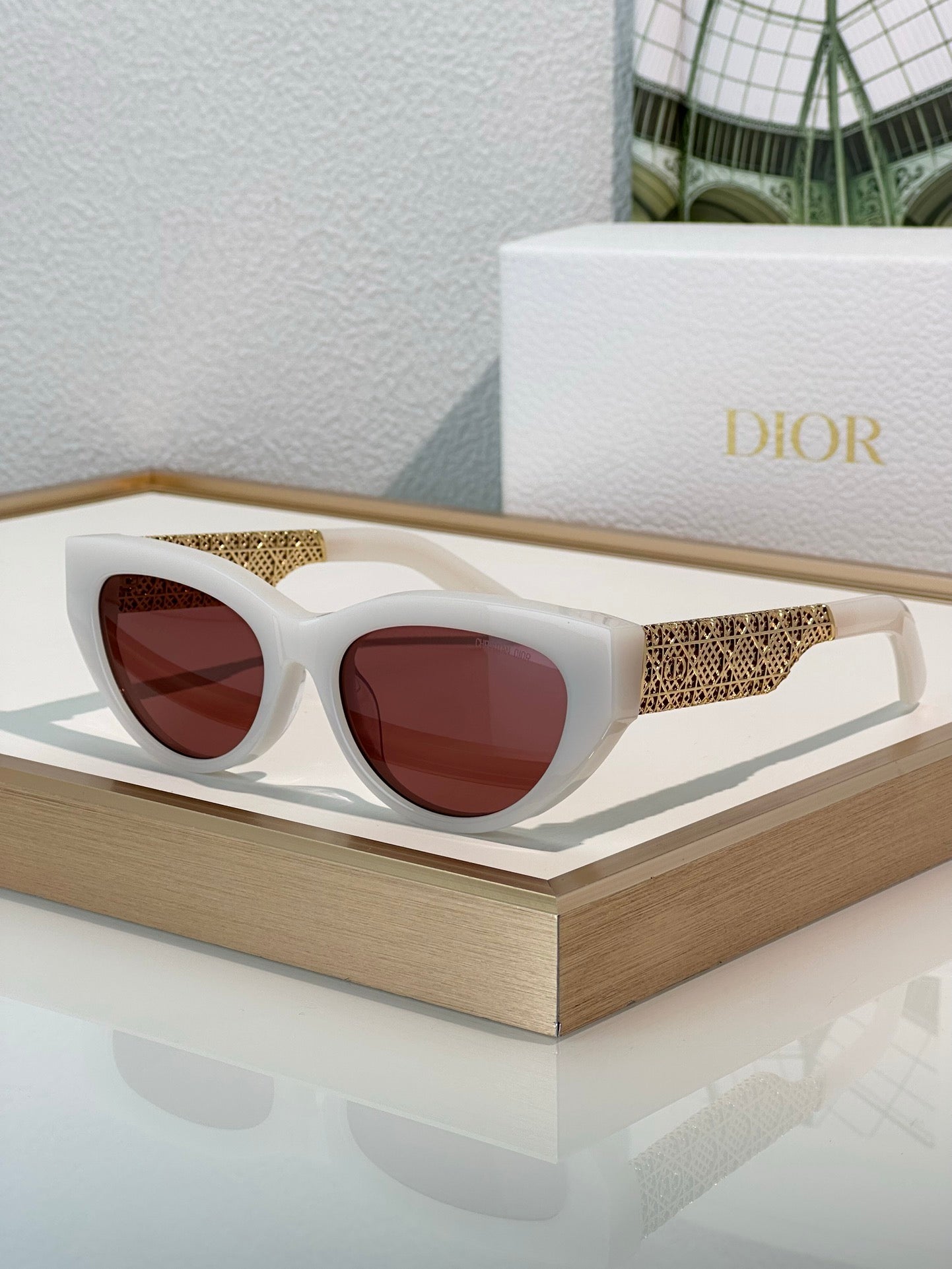 DIOR DioRésille B1I Black Butterfly Sunglasses✨