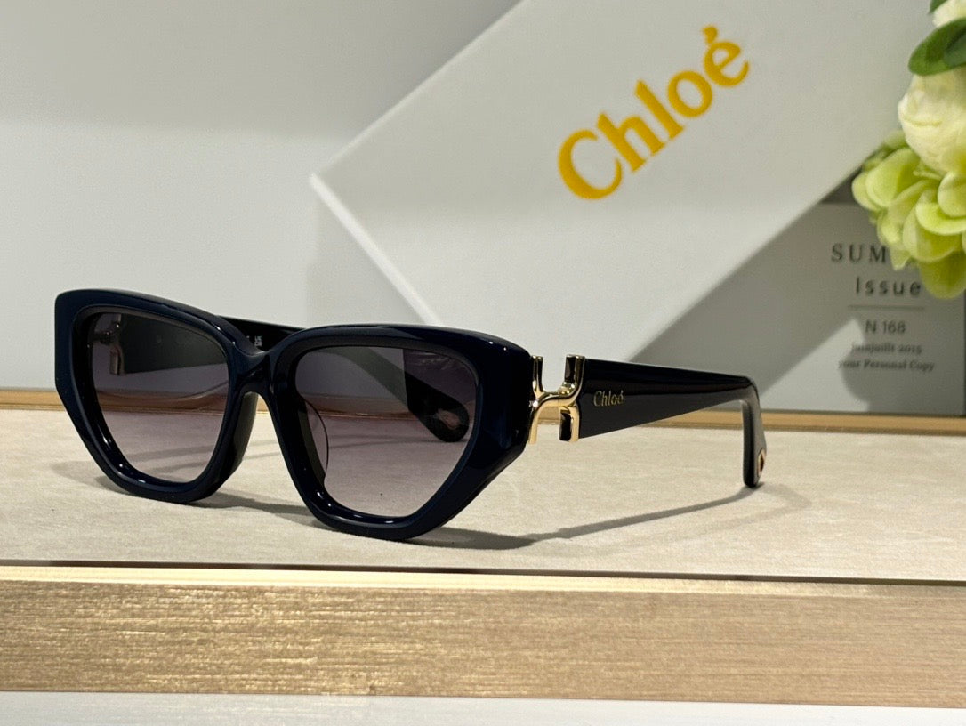 Chloé CH0235S Sunglasses Women's  ✨