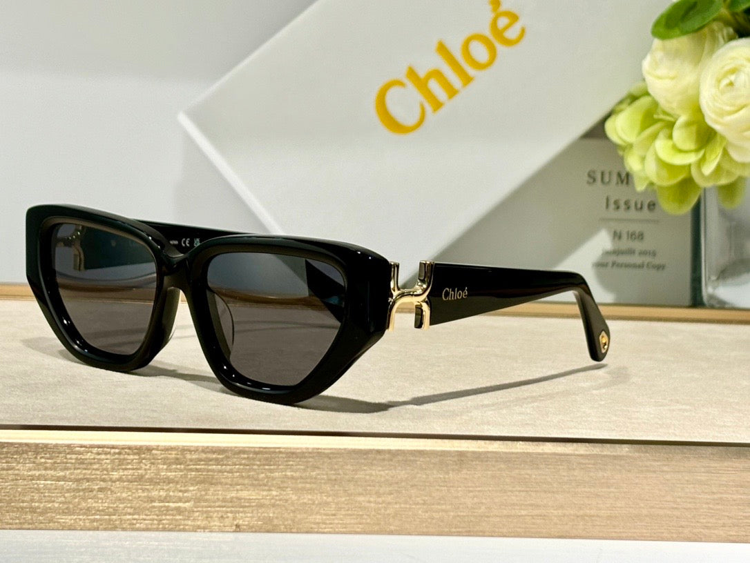 Chloé CH0235S Sunglasses Women's  ✨