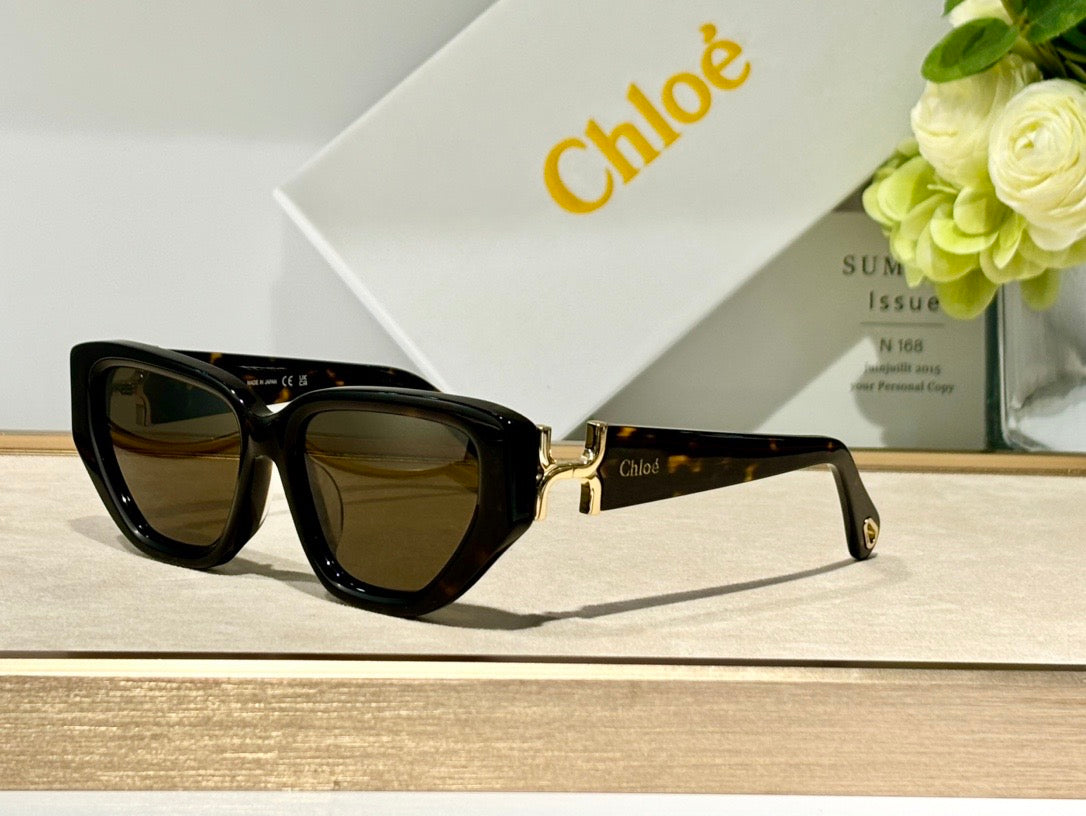 Chloé CH0235S Sunglasses Women's  ✨