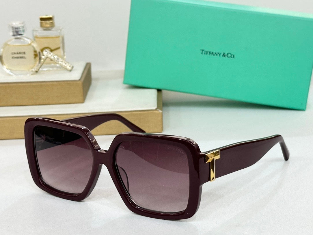 TIFFANY TF4206U  Women's Sunglasses ✨